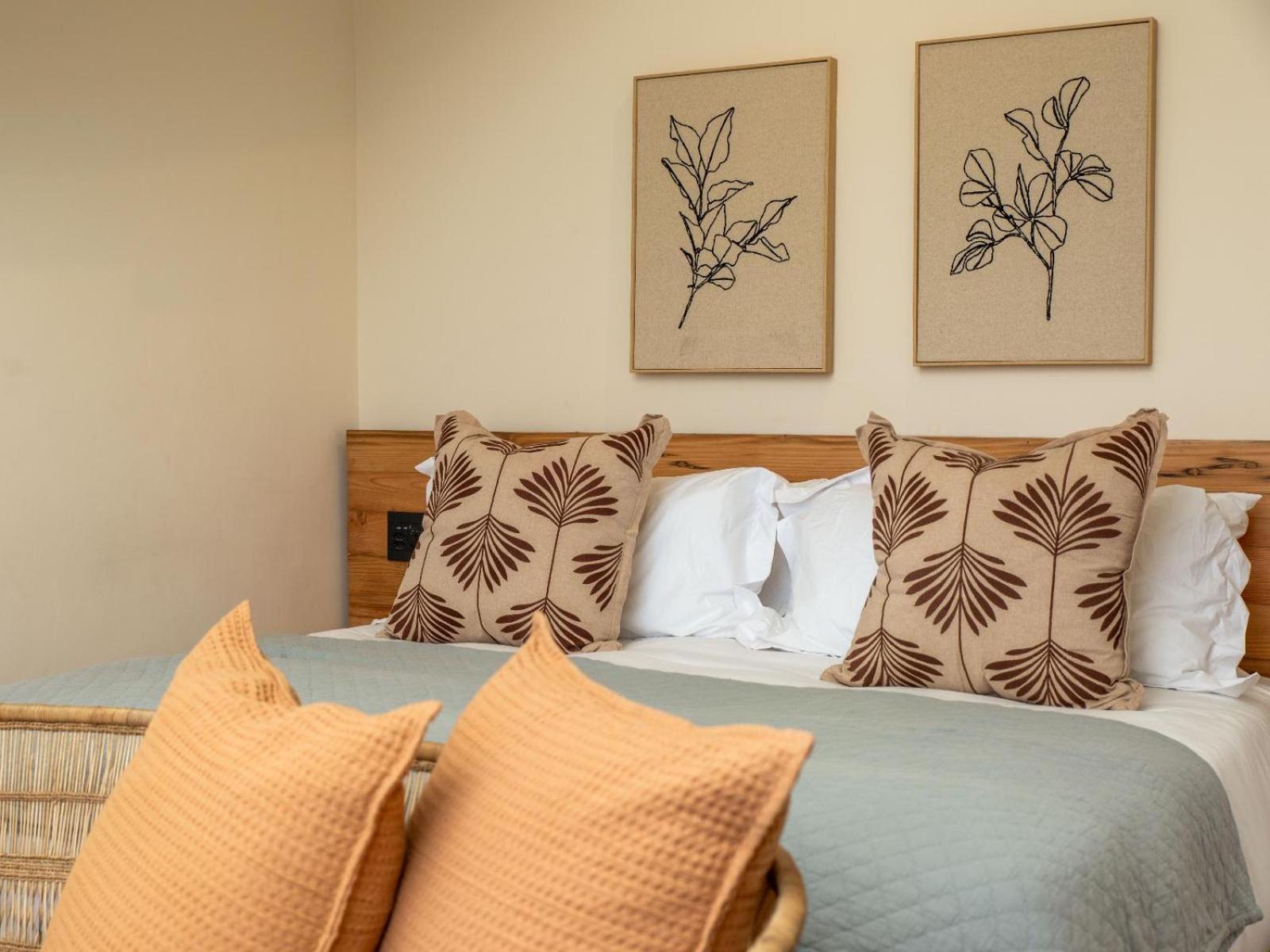 Little By Ideas Cartel Hermanus